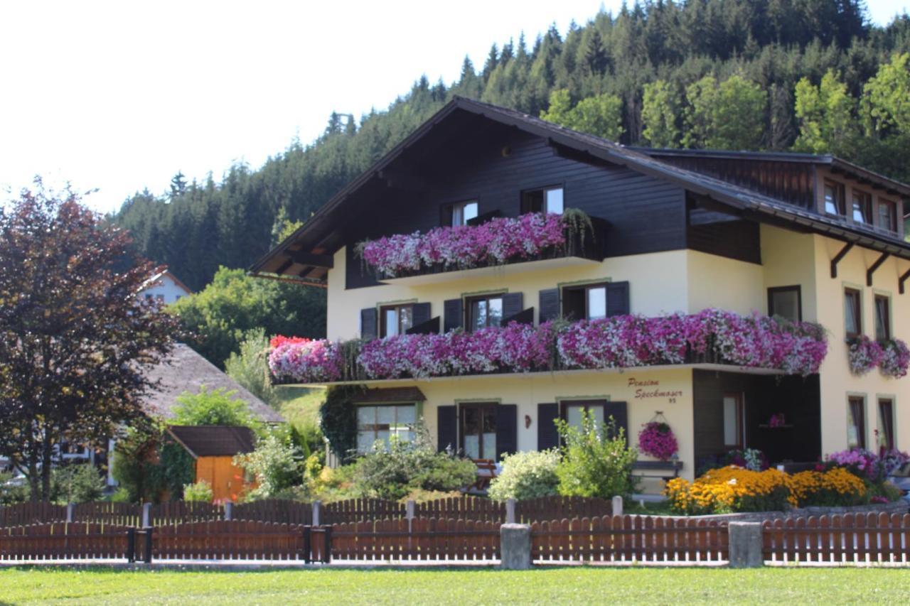 Pension Speckmoser Bad Mitterndorf Exterior photo